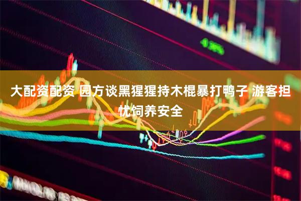 大配资配资 园方谈黑猩猩持木棍暴打鸭子 游客担忧饲养安全