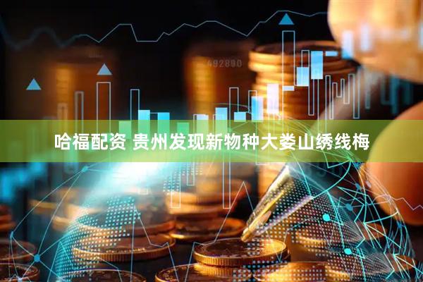 哈福配资 贵州发现新物种大娄山绣线梅