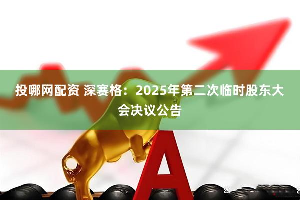 投哪网配资 深赛格：2025年第二次临时股东大会决议公告